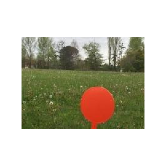 MAUZ IMMO 31 : Terrain | SAINT-SULPICE-SUR-LEZE (31410) | m2 | 50 000 € MAUZ IMMO 31 : Terrain | SAINT-SULPICE-SUR-LEZE (31410) | m2 | 50 000 €