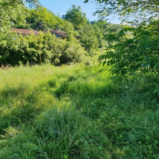  MAUZ IMMO 31 : Terrain | MONTESQUIEU-VOLVESTRE (31310) | 0 m2 | 50 000 € 