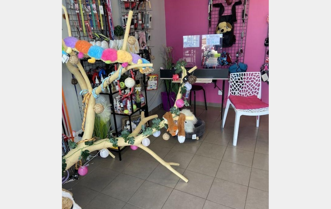 MAUZ IMMO 31 : Commerces | LUCON (85400) | 36 m2 | 35 000 € 