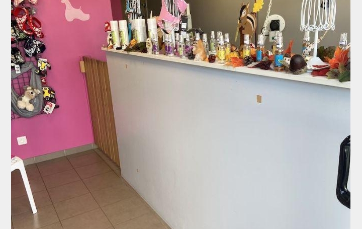 Activité commerciale LUCON 36 m2 35 000 € Activité commerciale LUCON 36 m2 35 000 €